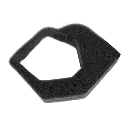 Manguera de combustible y espuma de aire para motores GX25, UMK425 y ULT425 5