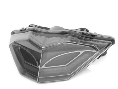 Luz trasera integrada para motocicleta 250R y 300 con DRL y señal de giro de repuesto