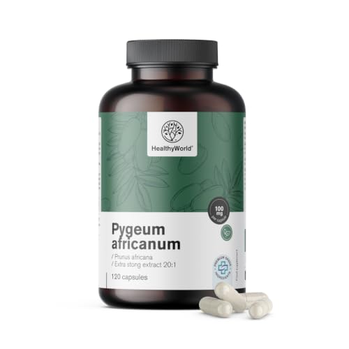 HealthyWorld Pygeum   extracto de ciruelo africano (Pygeum Africanum) – 100 mg de extracto 20:1 por cápsula – 120 cápsulas vegetales – Vegetariano – Apoyo para hombres – Suministro para 4 meses