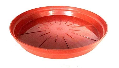 GREENGROW Plastic Saucer Base Plate Planter Tray, Terracotta, 6 INCH (Pack of 1) (B0CS9SSTYL) Amazon Price History, Amazon Price Tracker