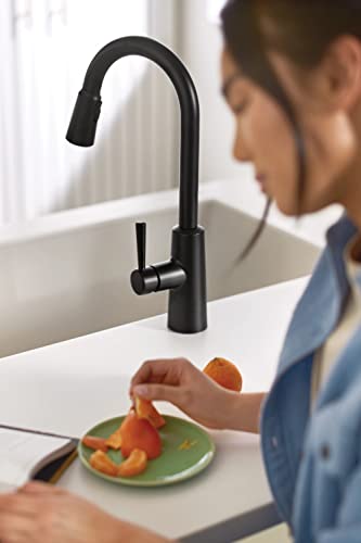 Moen 7402BL Riley Matte Black One-Handle Pulldown Kitchen Faucet Featuring Power Boost thumb #5