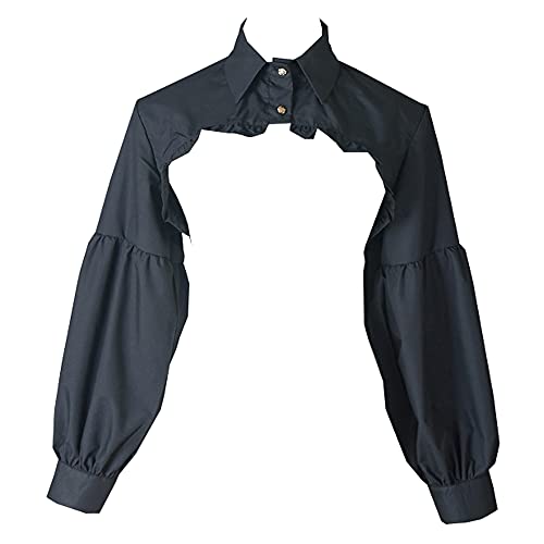 トップス eaphi SHEER FLAT COLLAR BLOUSE SHEER FLAT COLLAR BLOUSE