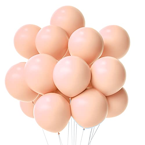 Pastel Orange Balloons Peach Balloons 12 Inch 50 Pcs Orange Balloons Peach Color Balloons Blush Balloons For Baby Shower Happy Birthday Wedding Engagement Peach Theme Party