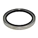 Shaft Seals Oil Seal 80 x 100 x 10 mm B2PT PTFE Double Lip, Stainless Steel High-Pressure Hydraulic Seals, for Industrial Pumps, Screw Air Compressor Rotary Shaft 80-100-10
