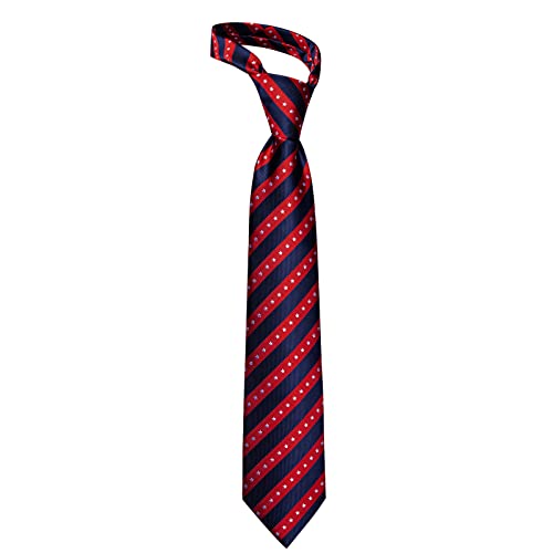 YourTies Men's Neckties Striped Tie and Plaid Neckties for Men Woven Silk Tie Gold Tie Clip Set