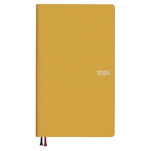 _CS[ 蒠 2025N XPW[ A|Cg EB[N[ jn܂ CG[ E1175 2025N3n܂