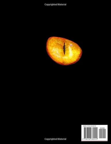 Crossword Puzzle Book Dictionary 2023: Easy To Medium Crossword: Crossword Puzzle Book For Adult #TOP1