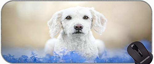 Mauspad Extended XXL, Blaue Blume Pet Hund rutschfeste Laptop...