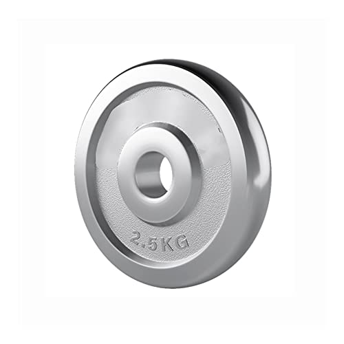 ソリッド鋳鉄ウェイトプレート、1インチバーベルプレート、フィットネスバッファープレート、フリーウェイトトレーニング、柔軟性の向上(サイズ:2.5kg/5.5ポンド*1)