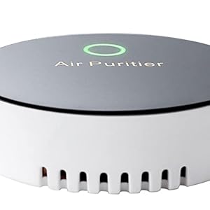 CLUB BOLLYWOOD Pet Odor Remover Air Cleaner Portable Cat Dog Odor Purifier Car Air Purifier | | Home & Garden | Home Improvement | Air Purifiers