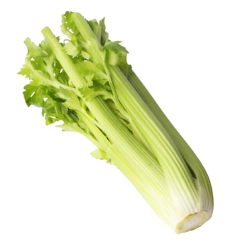 Wholegood �Z����