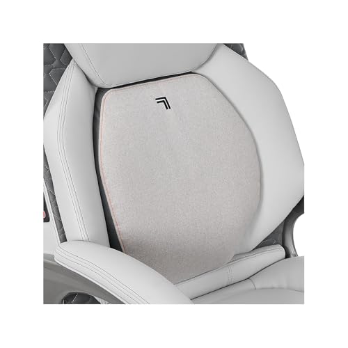 massage chair great customer service