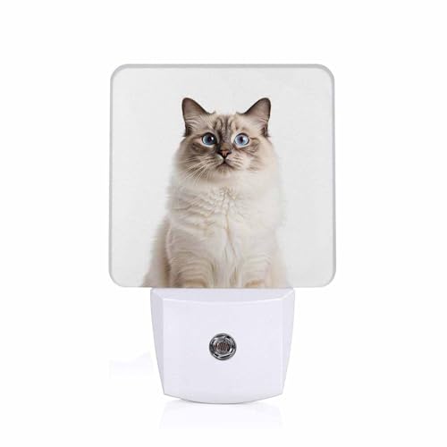 Image of LED Night Light,Beautiful Yellow Eyes Ragdoll Cat LED Night Light Plug into Wall with Dusk to Dawn Light Sensor White Energy Efficient Nightlight for Bedroom Hallway Living Room Kitchen