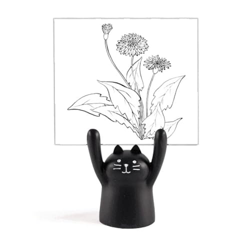 Ɣ̃^||̉Ԃ̐A J[gD[LX^h^z_[