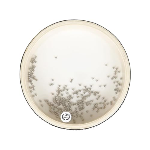 g EF[ur[Y V[h yߋ 6C` p[JbVr[Yh V[TEhh q l RT[g j̎q ̎q LbYp