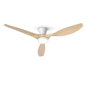 TALOYA 52 inch Ceiling Fans with Lights and Remote, Flush Mount Low Profile Ceiling Fan with Reversible DC Motor ABS Blades for Bedroom Living Room Kitchen Light Oak Finish