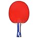 Lerten Racchette da Ping Pong,Mazza da Ping Pong Professionale a 5 Stelle,5 Strati Legno Puro Impugnatura Comoda,per Club Sportivo Di Attività Familiari/A/lungo manico