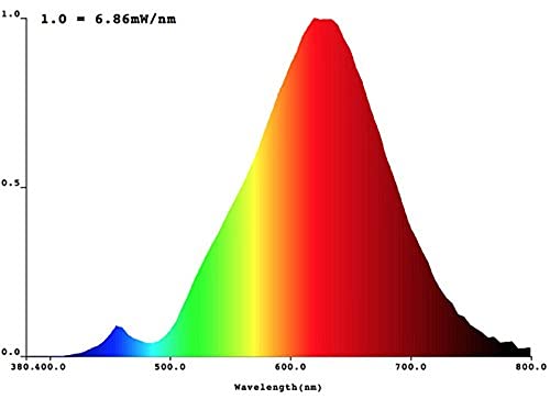 8x greenandco® Vintage gloeilamp vervangt 35W E27 G95 5W 400lm 2000K extra warm wit 360° 230V flikkervrij, niet-dimbaar - Afbeelding 5