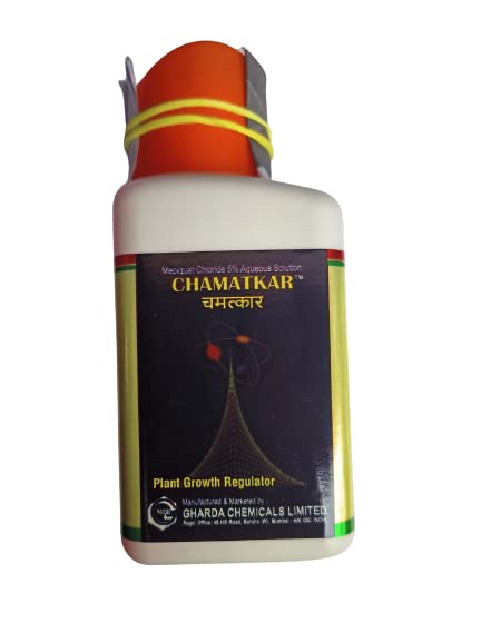 CHAMATKAR (100 ML)