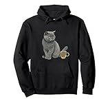 Photo Gallery gatto britannico a pelo corto felpa con cappuccio Photo Gallery gatto britannico a pelo corto felpa con cappuccio