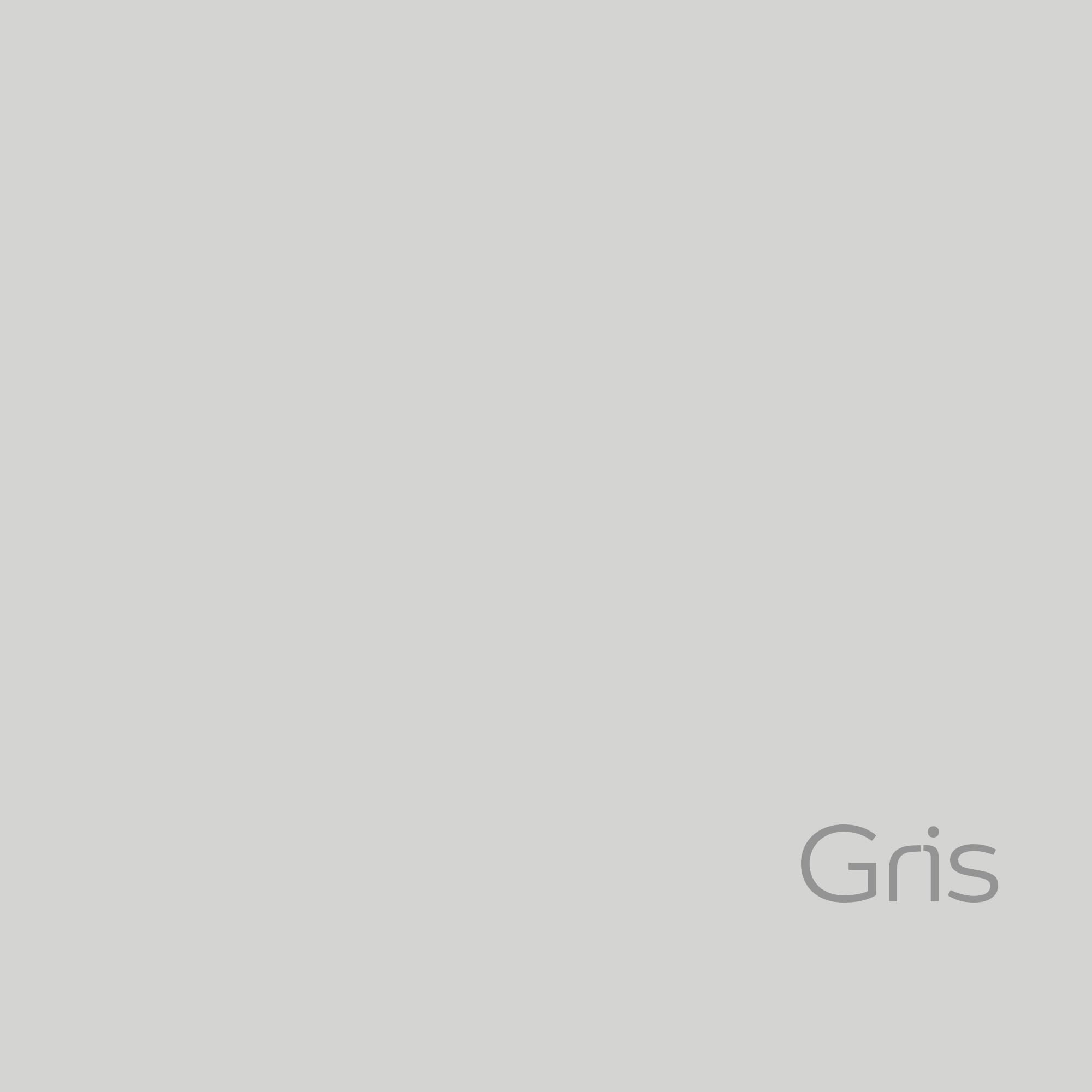 Bruguer Vernis à Carrelage à l'Eau Gris Satiné 750ml