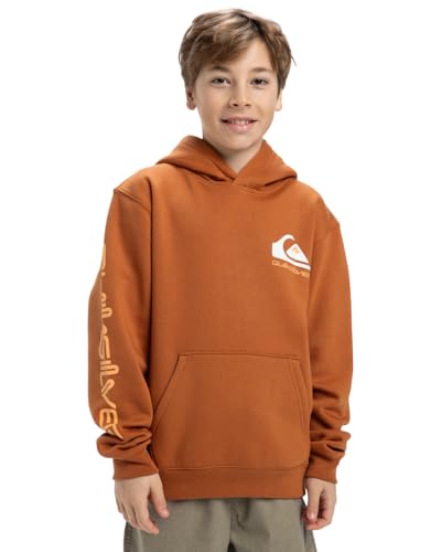 Quiksilver - Omni Logo Hoodie Jersey de Forro Polar - Niño