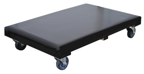 Plataforma móvil con cubierta de vinilo 24 x 36 pulgadas 1200 lb miniatura 1