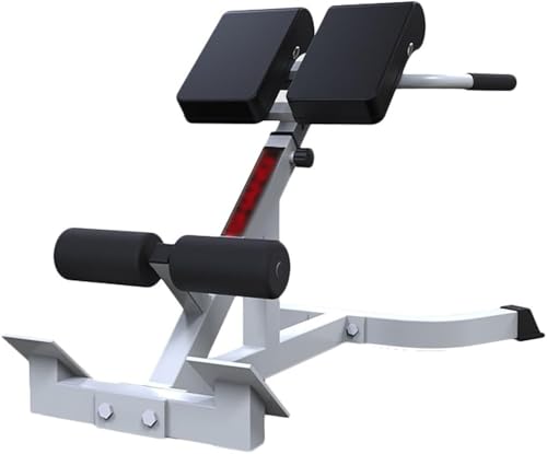 Verstellbare römische Stuhlbank für Bauch- und Beintraining, ideales Krafttrainingsgerät für Heim-Fitnessstudio