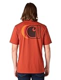 Carhartt Men's Relaxed Fit Lightweight Short-Sleeve C Back Graphic T-Shirt, Spice Red, X-Large