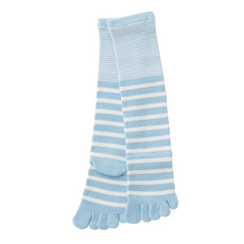 [Te] {[_[ KIDS nC\bNX y10484z 19-21cm u[ LbY 5{w