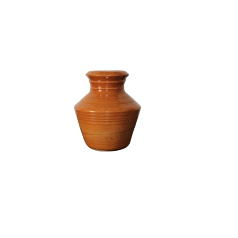 Eyeshore Handcrafted Ceramic Pot Piggy Bank - Save in Style (B0CW67LWC4) Amazon Price History, Amazon Price Tracker