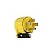 Legrand - Pass & Seymour 5745AN Pass & Seymour 5745-An Angle Plug
