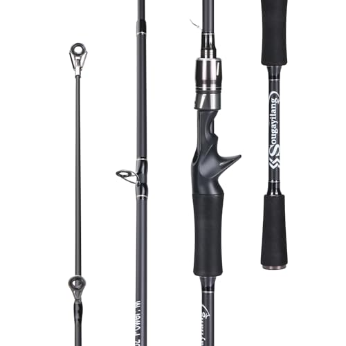 Image of Sougayilang Fishing Rod, Composite Glass & Carbon Fiber Blanks Spinning Rod and Casting Rod, 2Pc Fishing Pole with EVA Handle-Gray-2.1m-Casting