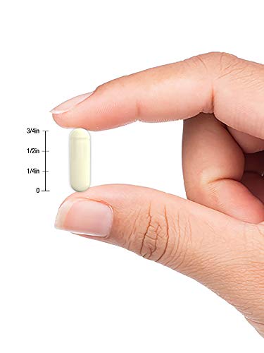 image for Carlyle Grapefruit Seed Extract 500 mg 120 Capsules – Maximum Streng