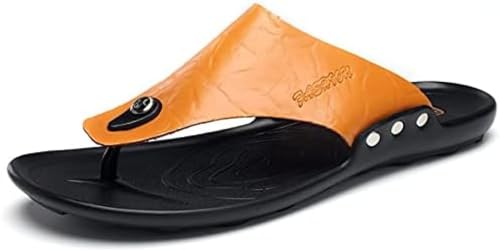 [ZGHQHCDRH] r[`T_  gOT_ Y  h ϖ AEghAT_ O ₷ Xbp  y JWA hL  ėp  vT_ jp