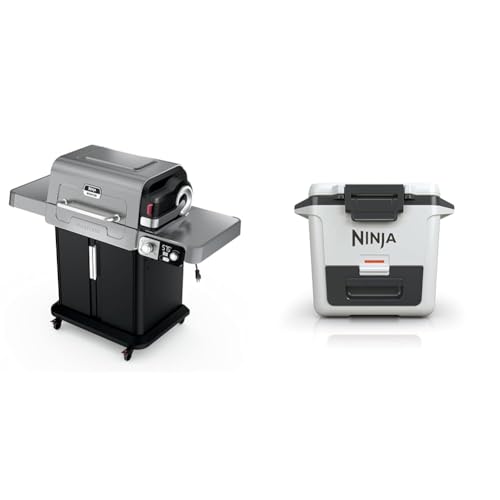 Ninja | Outdoor | FlexFlame Grill and Smoker with 30QT