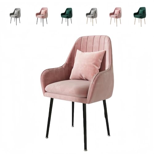 ShineLuxe CeA IV Ȃ ɂ jAXJ[ `FA[ T e X  ҍ JCC [N`FA 6F nCobN Q fXN`FA  ֎q LX^[`FA _CjO`FA It It