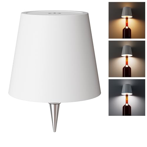 WOKWOYIO Metal Wireless Bottle Lamp Review: A Stylish and Versatile Table Lamp?