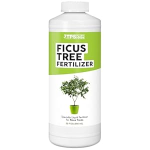 Ficus Tree Fertilizer for All Ficus, Fig and Moraceae Plants, Liquid Plant Food 32 oz (1 Quart)