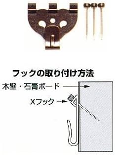 Amazon.co.jp: アルナ 油彩用額縁 ダブルフレーム アクリル仕様 壁用
