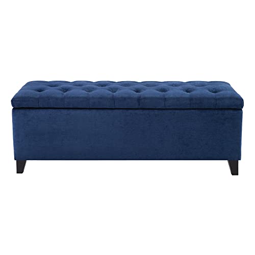 Madison Park FPF18-0143 Shandra Storage Ottoman thumb #3