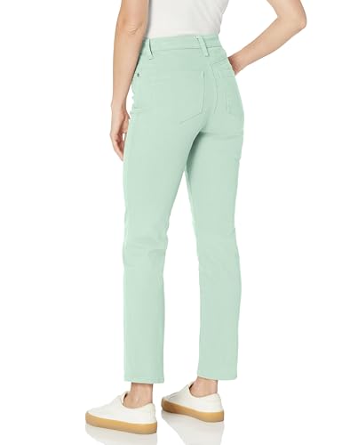 Image of Gloria Vanderbilt Womens Amanda Classic High Rise Tapered Jean Petite