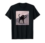 Cursed Cat Memes
