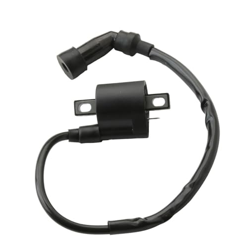 Motorcycle Ignition Coil Fit For XT125 YBR125 XT YBR 125 3D9-H2310-00