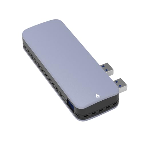 G-Storategy SSD Ot 250GB ^ |[^u PS5 PS4Ή(mF) RpNg y USB3.2 Gen2 USB TypeA FFF NV33525EX-GY