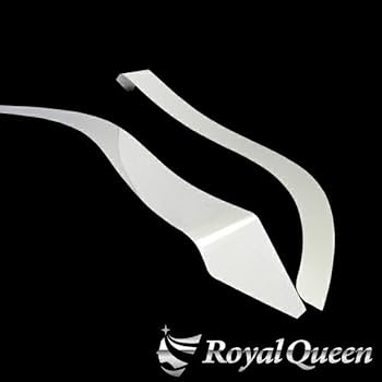 17スーパーグレート等　フェンダー上　鏡面ステンレスアレンジ 17スーパーグレート等 フェンダー上 鏡面ステンレスアレンジ