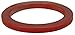 Dixon 250-G-TES 2-1/2" PTFE (FEP) Encapsulated Silicone Gasket (Translucent-Red)