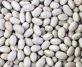 񂰂 S 2e 30kg Y kCق