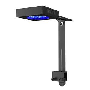 NICREW NavaReef 65 Reef LED Light, 65W Reef Aquarium Lighting for Soft/LPS Corals and Saltwater Fish Tanks, Built-in Timer, Blue Focused Spectrum