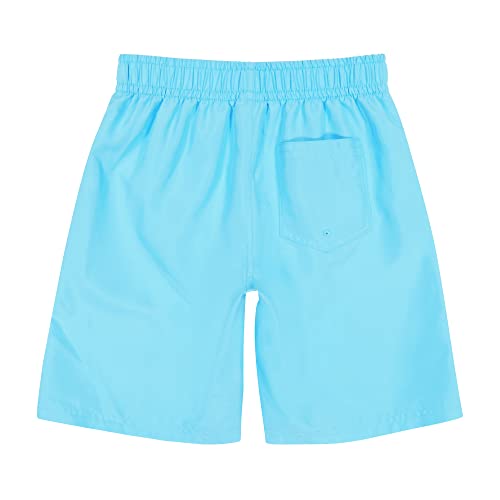 PUMA Boys' Gradient Number One Logo Swim Trunks2